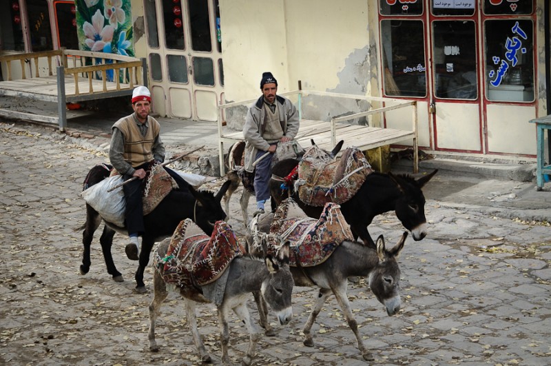 Donkey riders in Iran